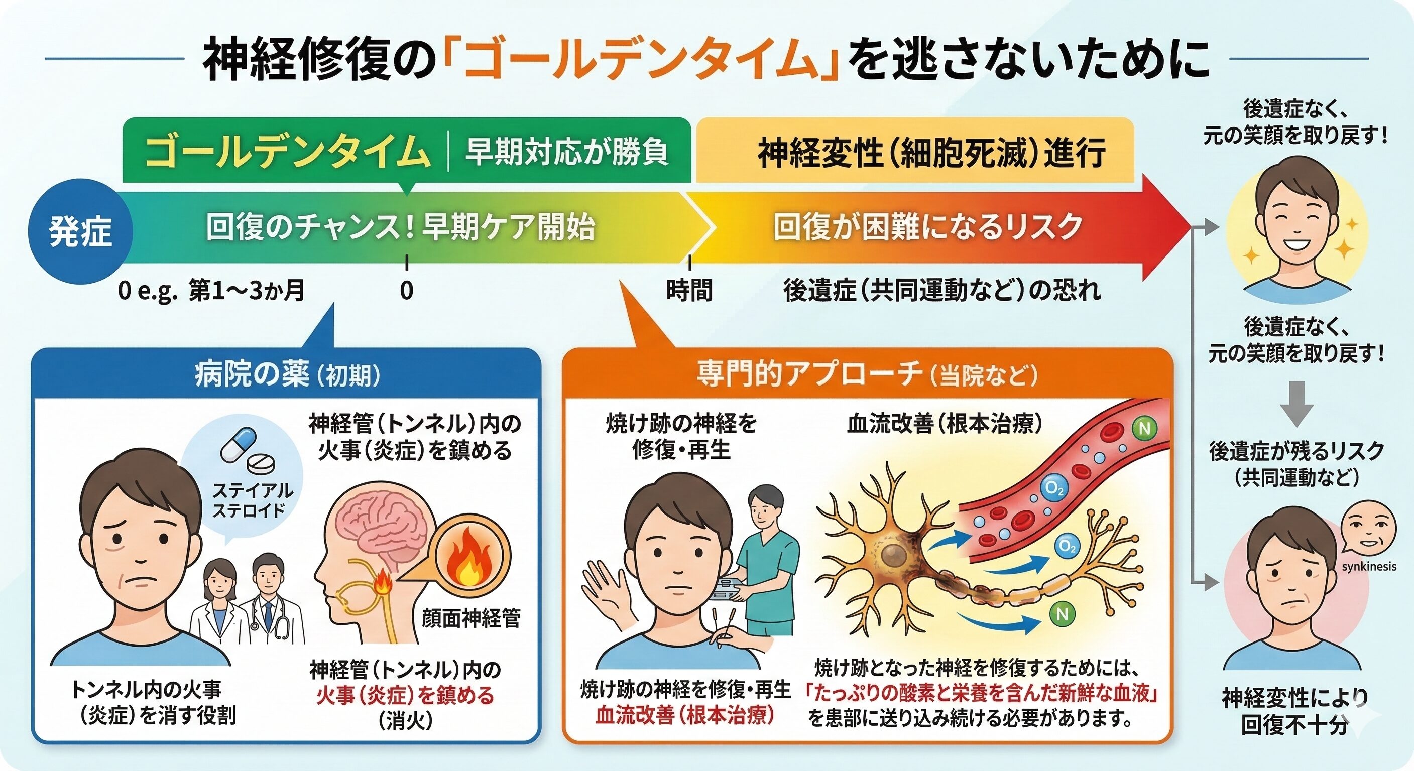 顔面神経麻痺の回復のゴールデンタイムと、病院の薬(消火)と当院の施術(再生)の役割分担の解説図