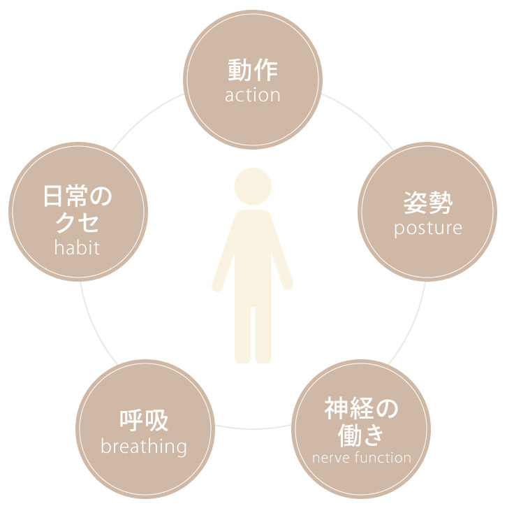 検査項目（原因）