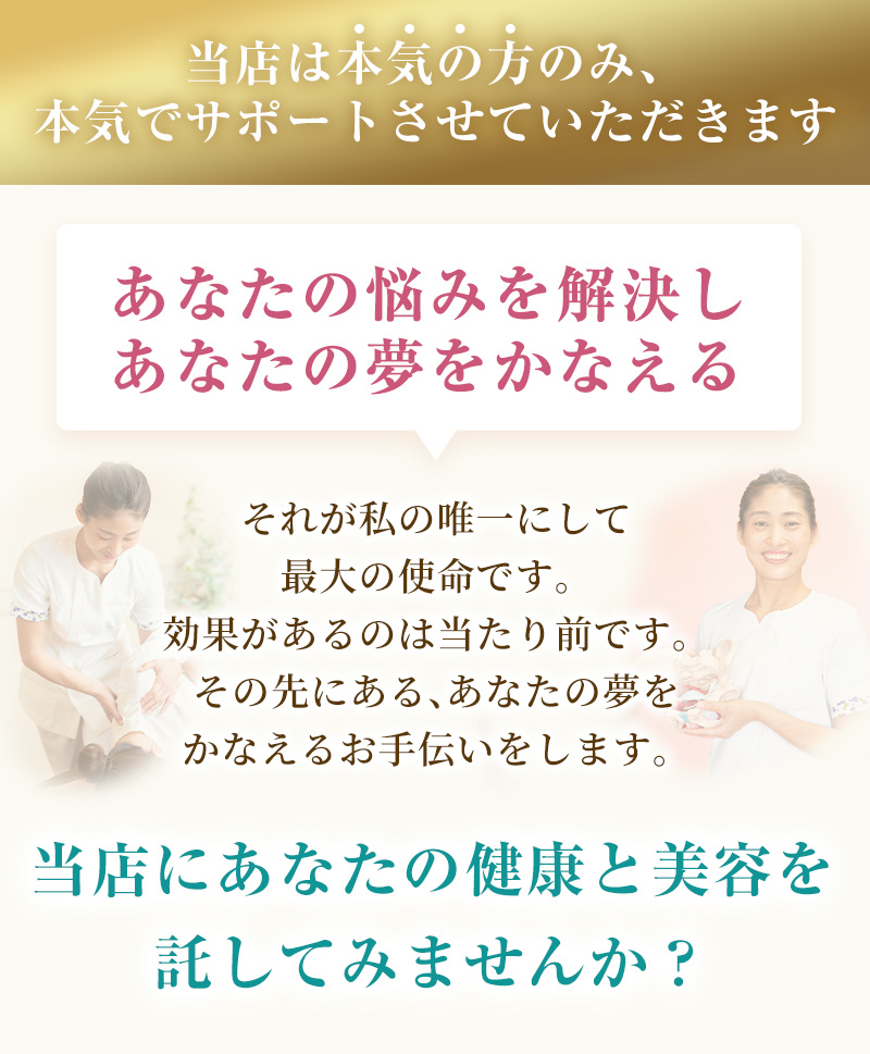 本気の方のサポート