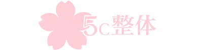5c整体